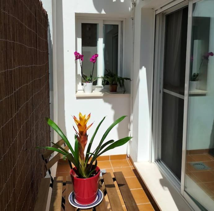 Апартаменты Estudio 52 Malaga Centrico Parking Gratuito Экстерьер фото